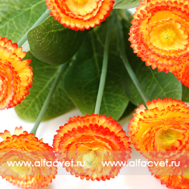 искусственные цветы маргаритки цвета оранжевый 2