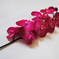 искусственные цветы орхидеи цвета малиновый 11