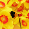 искусственные цветы букет нарциссов цвета желтый с оранжевым 17